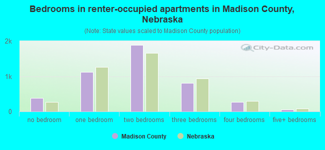 Bedrooms in renter-occupied apartments in Madison County, Nebraska