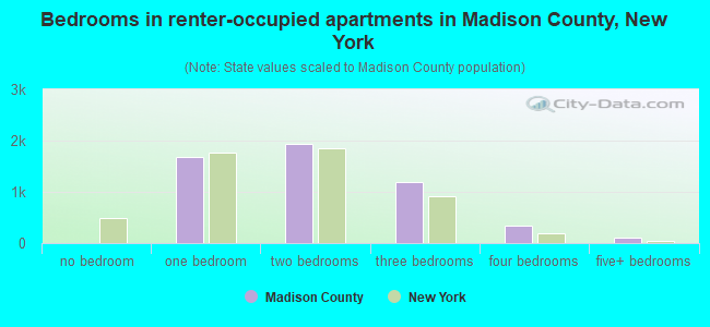 Bedrooms in renter-occupied apartments in Madison County, New York