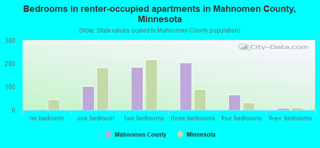 Bedrooms in renter-occupied apartments in Mahnomen County, Minnesota