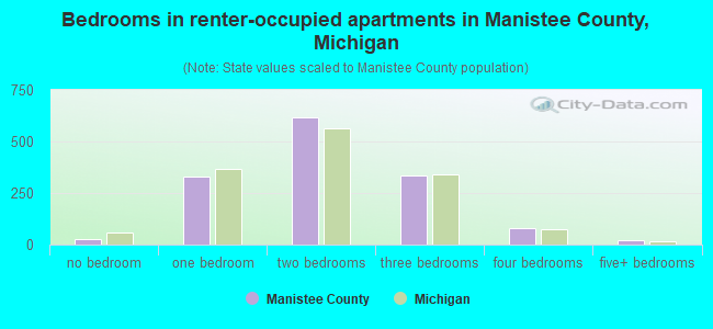 Bedrooms in renter-occupied apartments in Manistee County, Michigan