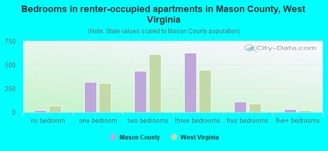 Bedrooms in renter-occupied apartments in Mason County, West Virginia