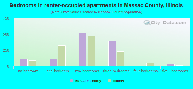 Bedrooms in renter-occupied apartments in Massac County, Illinois