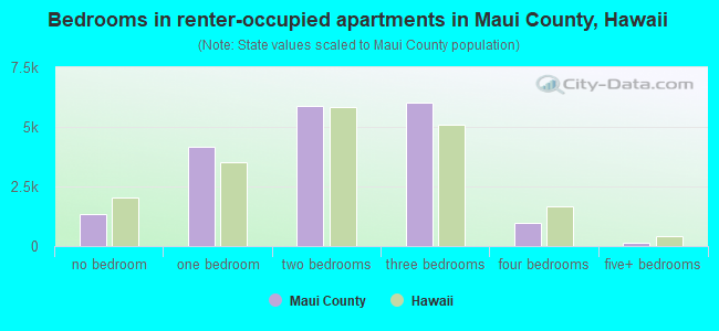 Bedrooms in renter-occupied apartments in Maui County, Hawaii