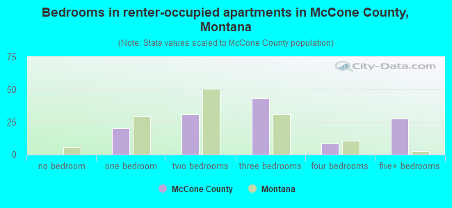 Bedrooms in renter-occupied apartments in McCone County, Montana