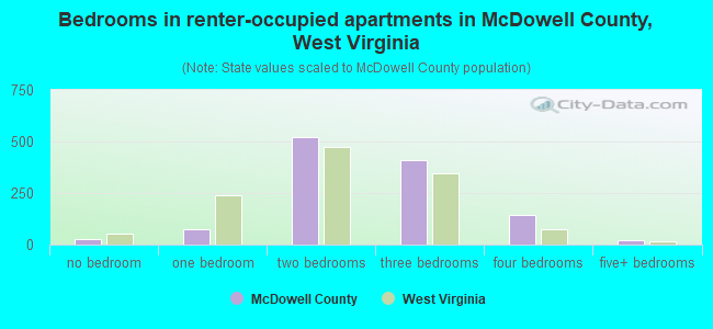 Bedrooms in renter-occupied apartments in McDowell County, West Virginia