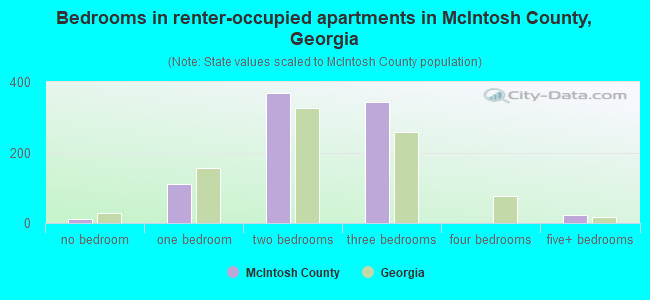 Bedrooms in renter-occupied apartments in McIntosh County, Georgia