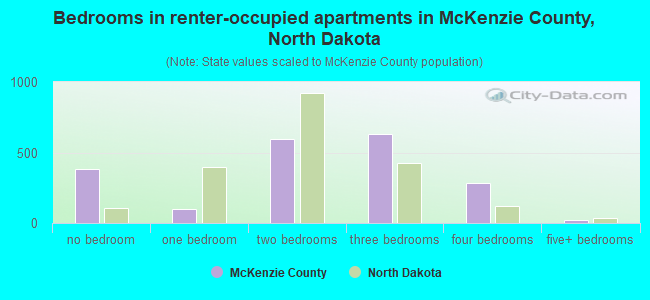 Bedrooms in renter-occupied apartments in McKenzie County, North Dakota