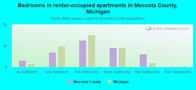 Bedrooms in renter-occupied apartments in Mecosta County, Michigan