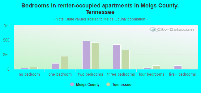 Bedrooms in renter-occupied apartments in Meigs County, Tennessee