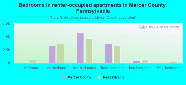 Bedrooms in renter-occupied apartments in Mercer County, Pennsylvania