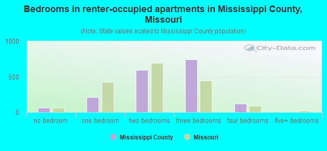 Bedrooms in renter-occupied apartments in Mississippi County, Missouri