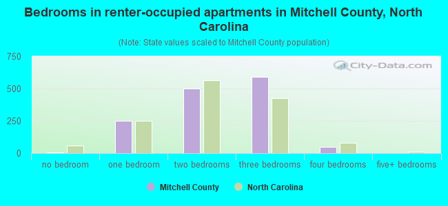 Bedrooms in renter-occupied apartments in Mitchell County, North Carolina