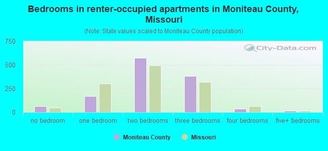 Bedrooms in renter-occupied apartments in Moniteau County, Missouri