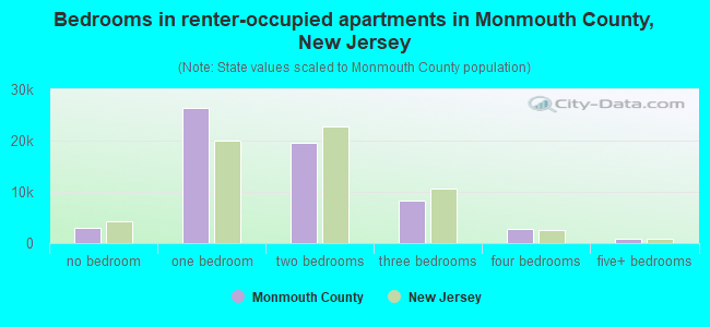 Bedrooms in renter-occupied apartments in Monmouth County, New Jersey