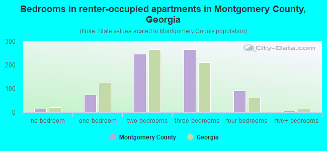Bedrooms in renter-occupied apartments in Montgomery County, Georgia