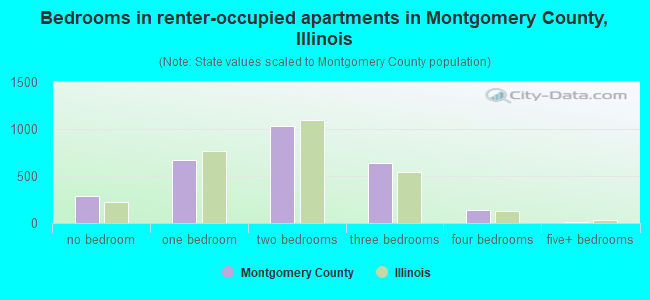 Bedrooms in renter-occupied apartments in Montgomery County, Illinois