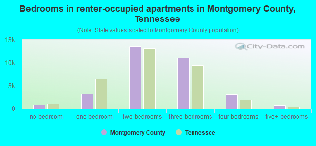 Bedrooms in renter-occupied apartments in Montgomery County, Tennessee