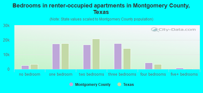 Bedrooms in renter-occupied apartments in Montgomery County, Texas