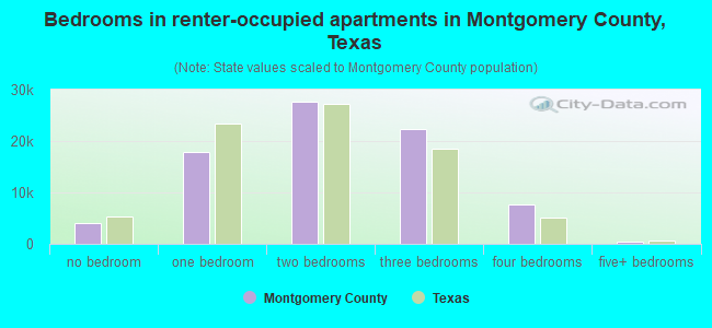 Bedrooms in renter-occupied apartments in Montgomery County, Texas