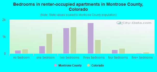 Bedrooms in renter-occupied apartments in Montrose County, Colorado
