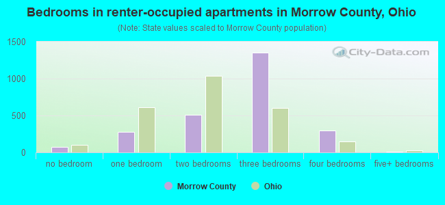 Bedrooms in renter-occupied apartments in Morrow County, Ohio