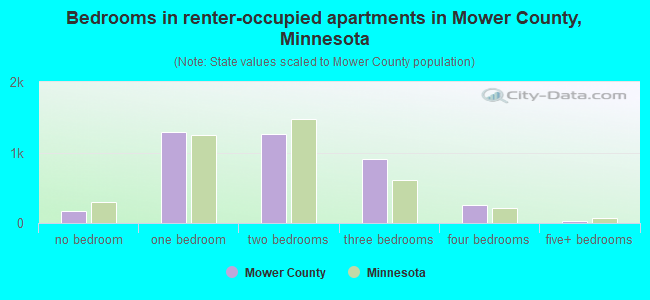 Bedrooms in renter-occupied apartments in Mower County, Minnesota