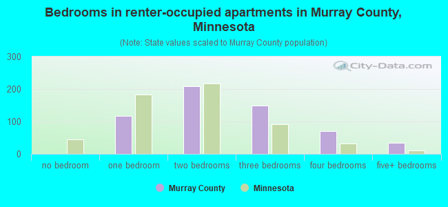 Bedrooms in renter-occupied apartments in Murray County, Minnesota