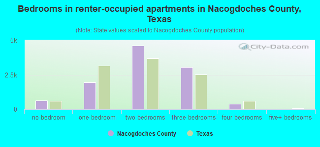 Bedrooms in renter-occupied apartments in Nacogdoches County, Texas