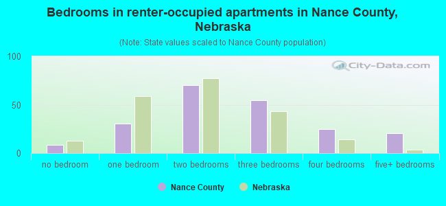Bedrooms in renter-occupied apartments in Nance County, Nebraska
