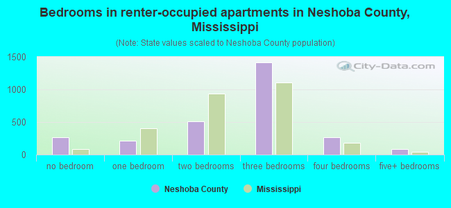 Bedrooms in renter-occupied apartments in Neshoba County, Mississippi