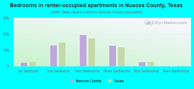 Bedrooms in renter-occupied apartments in Nueces County, Texas