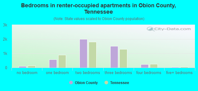 Bedrooms in renter-occupied apartments in Obion County, Tennessee