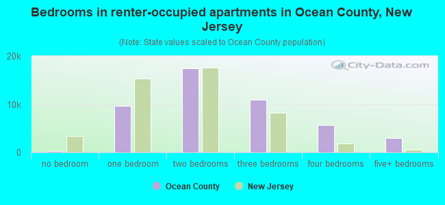 Bedrooms in renter-occupied apartments in Ocean County, New Jersey