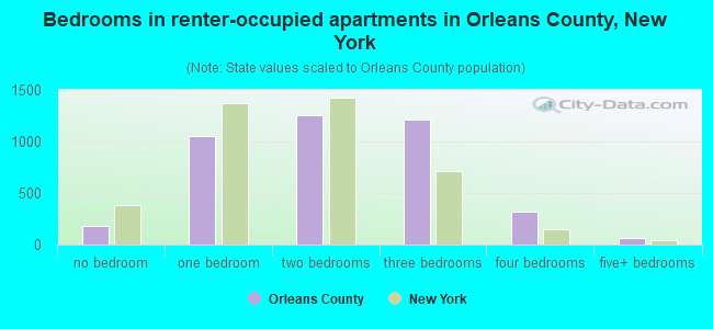 Bedrooms in renter-occupied apartments in Orleans County, New York