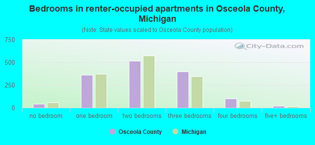 Bedrooms in renter-occupied apartments in Osceola County, Michigan