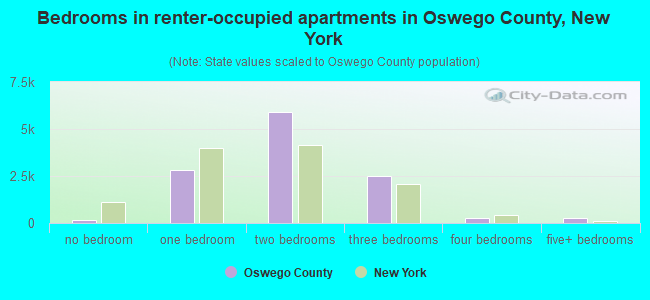 Bedrooms in renter-occupied apartments in Oswego County, New York