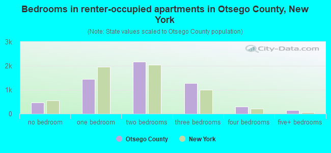Bedrooms in renter-occupied apartments in Otsego County, New York