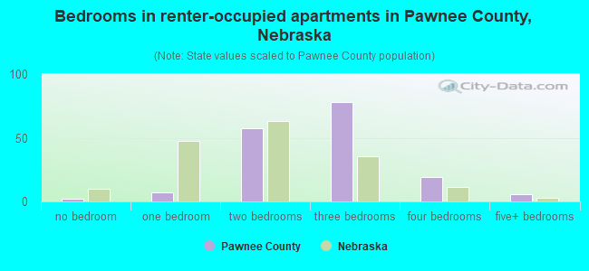 Bedrooms in renter-occupied apartments in Pawnee County, Nebraska