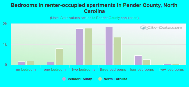 Bedrooms in renter-occupied apartments in Pender County, North Carolina