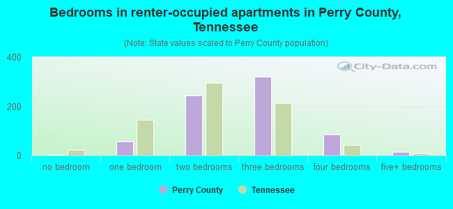 Bedrooms in renter-occupied apartments in Perry County, Tennessee