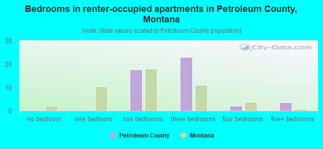 Bedrooms in renter-occupied apartments in Petroleum County, Montana