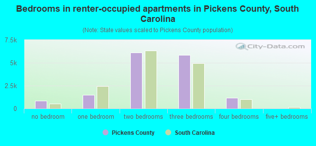 Bedrooms in renter-occupied apartments in Pickens County, South Carolina