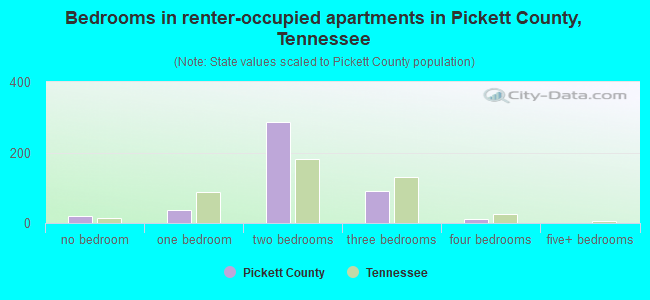 Bedrooms in renter-occupied apartments in Pickett County, Tennessee