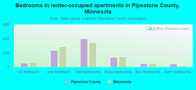Bedrooms in renter-occupied apartments in Pipestone County, Minnesota