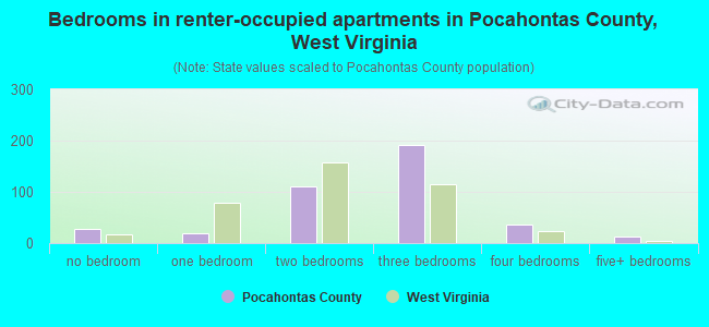 Bedrooms in renter-occupied apartments in Pocahontas County, West Virginia