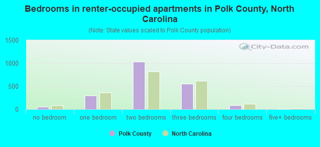 Bedrooms in renter-occupied apartments in Polk County, North Carolina