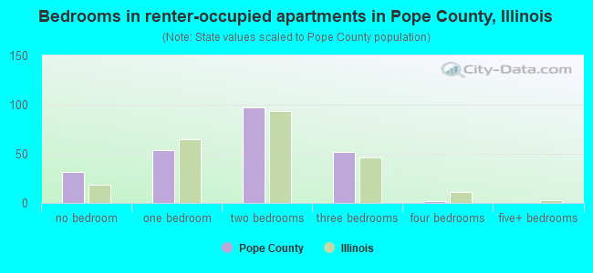 Bedrooms in renter-occupied apartments in Pope County, Illinois
