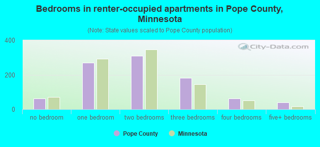 Bedrooms in renter-occupied apartments in Pope County, Minnesota