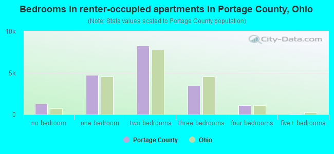 Bedrooms in renter-occupied apartments in Portage County, Ohio