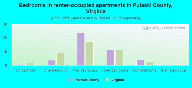 Bedrooms in renter-occupied apartments in Pulaski County, Virginia